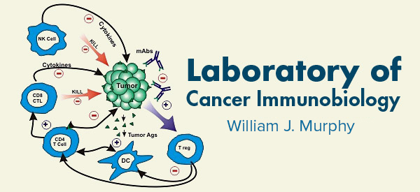 Laboratory of Cancer Immunobiology (c) UC Regents. All rights reserved.