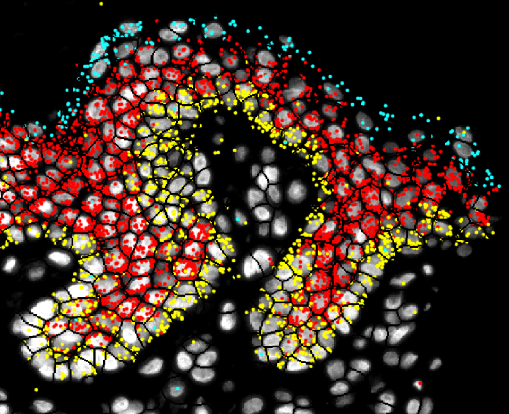 Research image