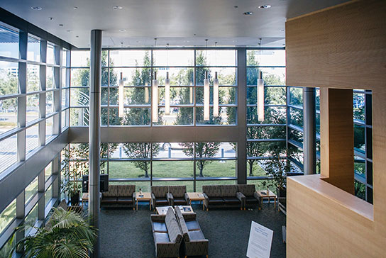 Academic Federation