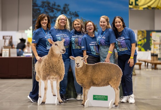 Six staff volunteers smile with a sheep cutout at the Terra Madre event.