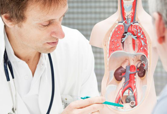 Urologic Oncology