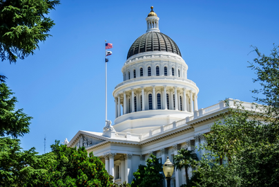 The California State Capitol dome shown behind a tree.