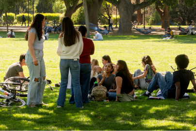 People relaxing on a sunny park lawn under large trees, with bicycles and backpacks on the ground.