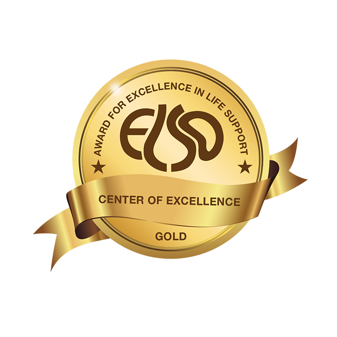 ELSO badge: Award for excellence in life support, Center of excellence, Gold