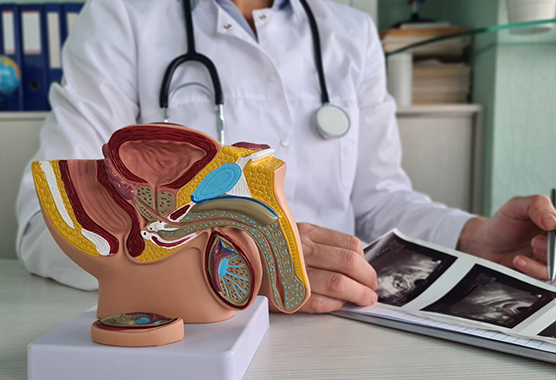 Urologist reviewing urodynamic tests with patient.