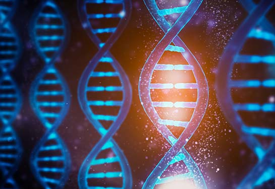 Artistic rendering of DNA strands in blue tones