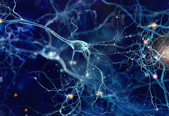 Neuron cells on a blue background