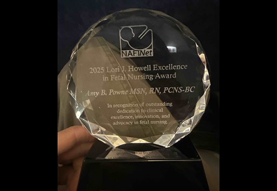 Close up of award