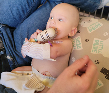 Baby in a hospital bed chews on a off white rattle with brown stripes.