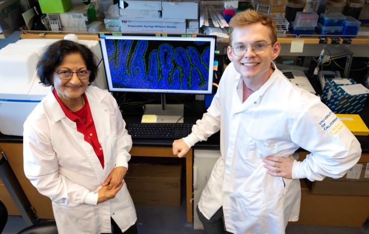Two scientists in a research laboratory with a monitor showing a blue and green microscopy image.