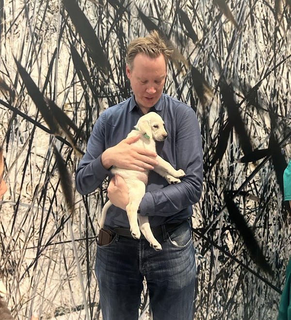 A Labrador retriever puppy rests in the arms of a UC Davis Health employee.