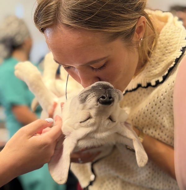 Close-up of a UC Davis Health employee holding and kissing a Labrador retriever puppy during Puppy Playtime.