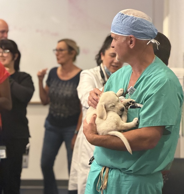 A UC Davis Health employee holds a sleeping Labrador retriever puppy during the event.