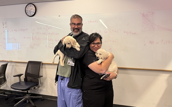 Two UC Davis Health employees hold Labrador retriever puppies while posing for a photo.