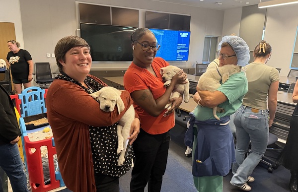 Three UC Davis Health employees hold sleeping Labrador retriever puppies during Puppy Playtime.