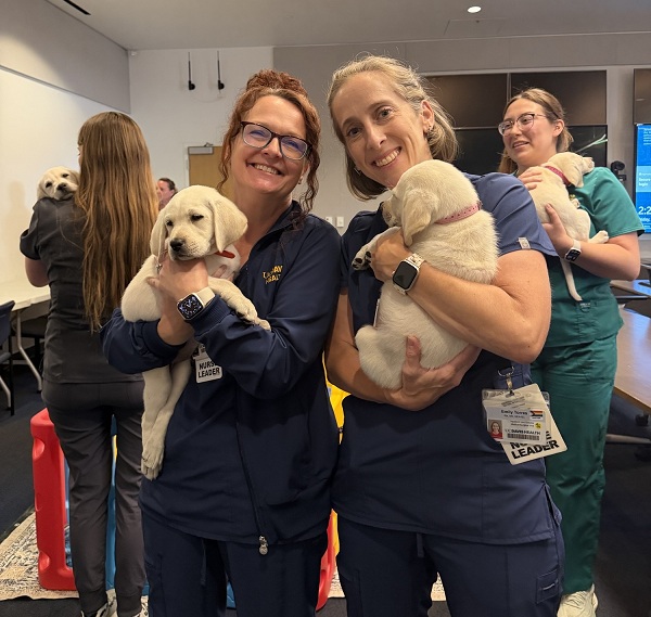 Two UC Davis Health employees hold Labrador retriever puppies while standing in a conference room.