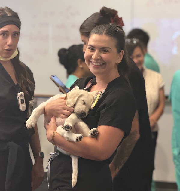 A UC Davis Health employee smiles while holding a Labrador retriever puppy.