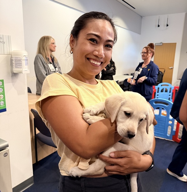 A UC Davis Health employee cradles a Labrador retriever puppy.