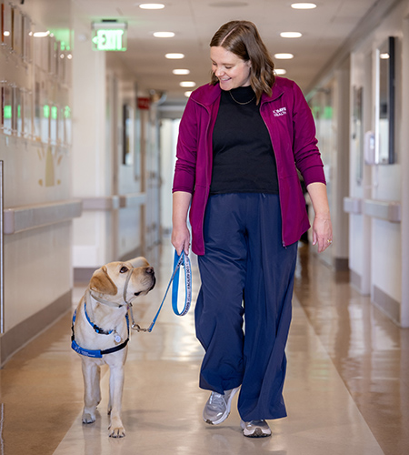 A person walks down a hospital hallway with a yellow labrador retriever on a leash.