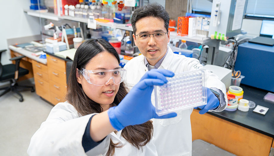 Two scientists wearing white coats in a lab examine a 96-well microplate.