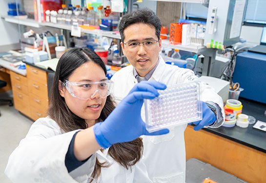 Two researchers stand in a lab, wearing white coats and goggles or glasses, while holding up a 96-well microplate.