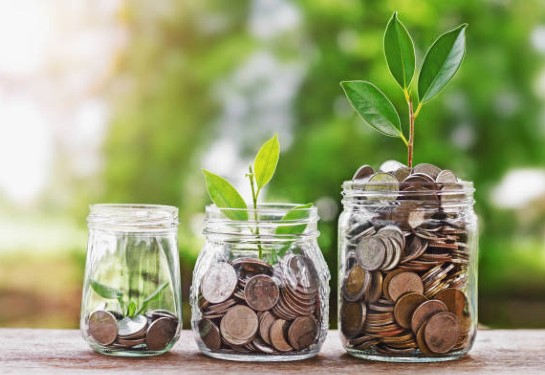 plant growing in coins in glass jars