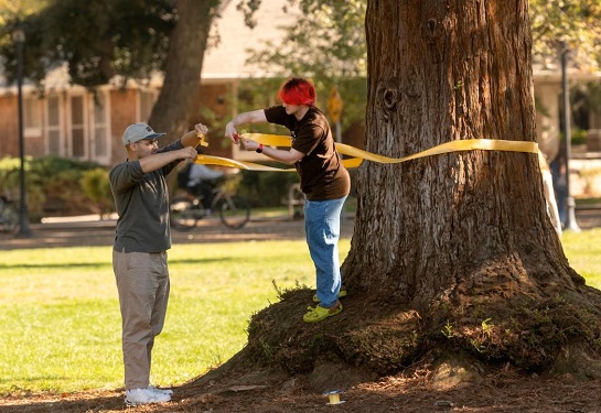 Two students tie a yellow ribbon around a tree.