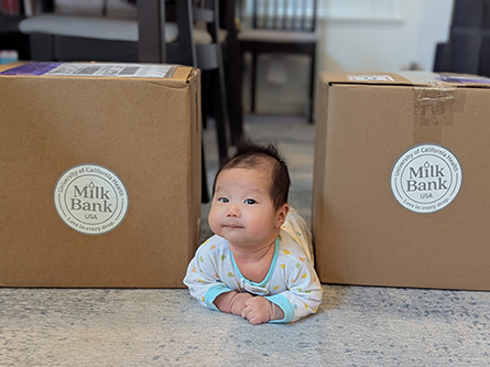 Baby laying by milk donation boxes