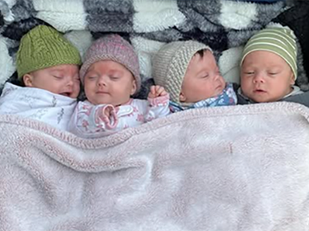 Newborn quadruplets Fern, Jane, Kit and Royal