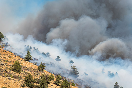 A landscape showing wildfire smoke.