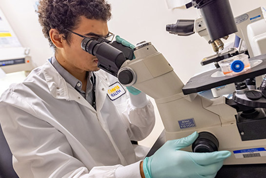 Researcher in lab looking through microscope.