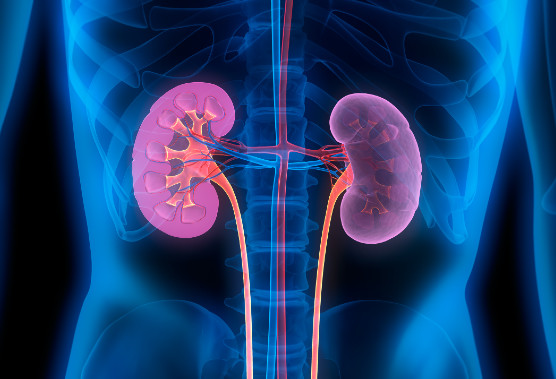 Nephrology doctors and healthcare workers in an office, discussing a patients case.