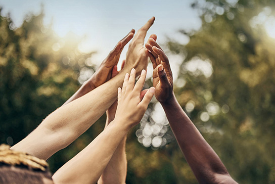 Diverse group of hands of reaching up together.