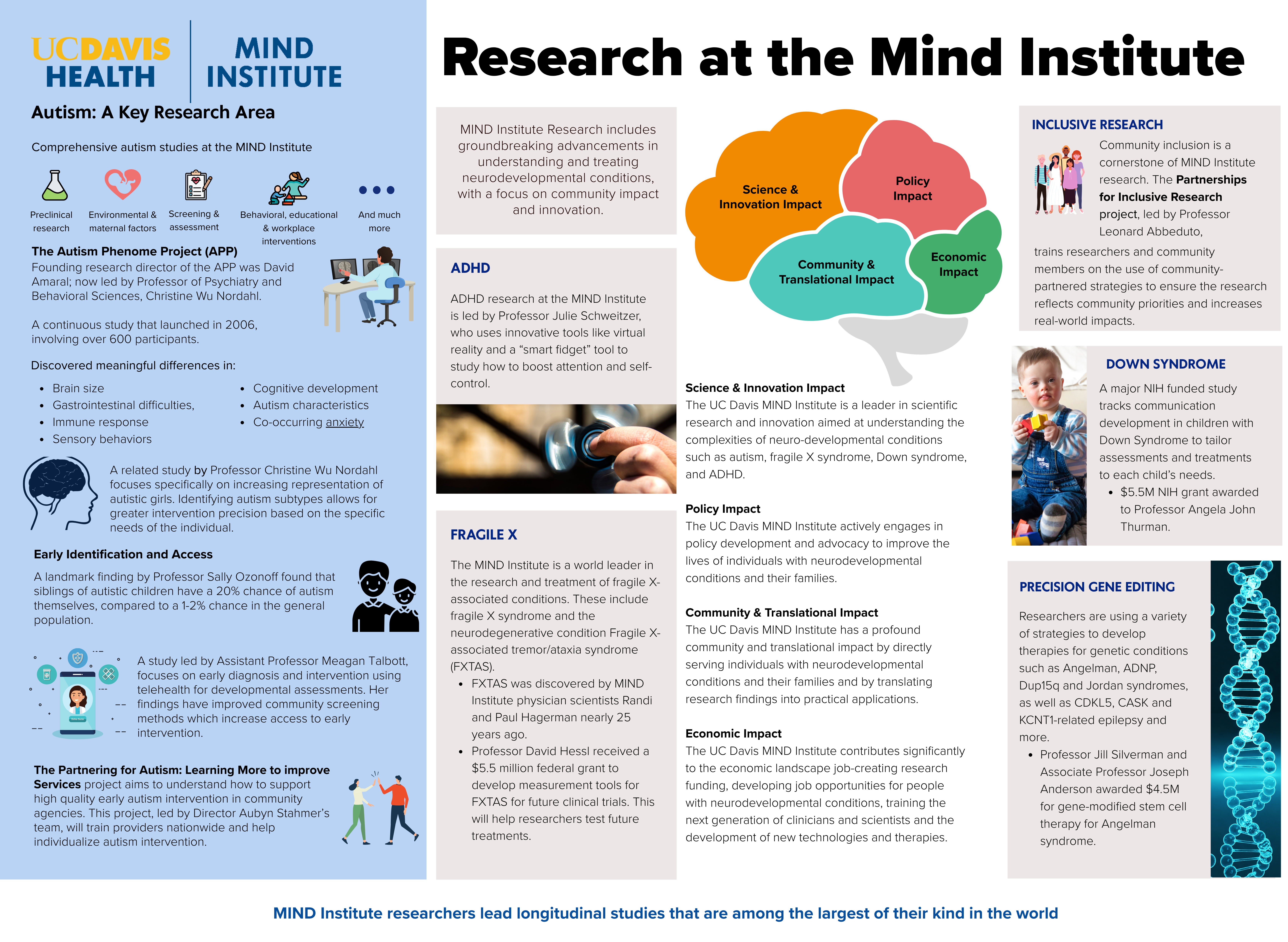 Multi‑panel infographic titled “Research at the MIND Institute” from UC Davis Health. The graphic summarizes autism and neurodevelopmental research at the MIND Institute, including the Autism Phenome Project, ADHD and fragile X research, early identification studies, and longitudinal findings. Sections highlight four impact areas—science and innovation, policy, community and translational, and economic impact—along with inclusive research, Down syndrome studies, and precision gene editing. Branding for UC Davis Health and the MIND Institute appears throughout.