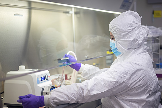 Researcher in stem cell lab at the Institute for Regenerative Cures
