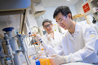 stem cell research