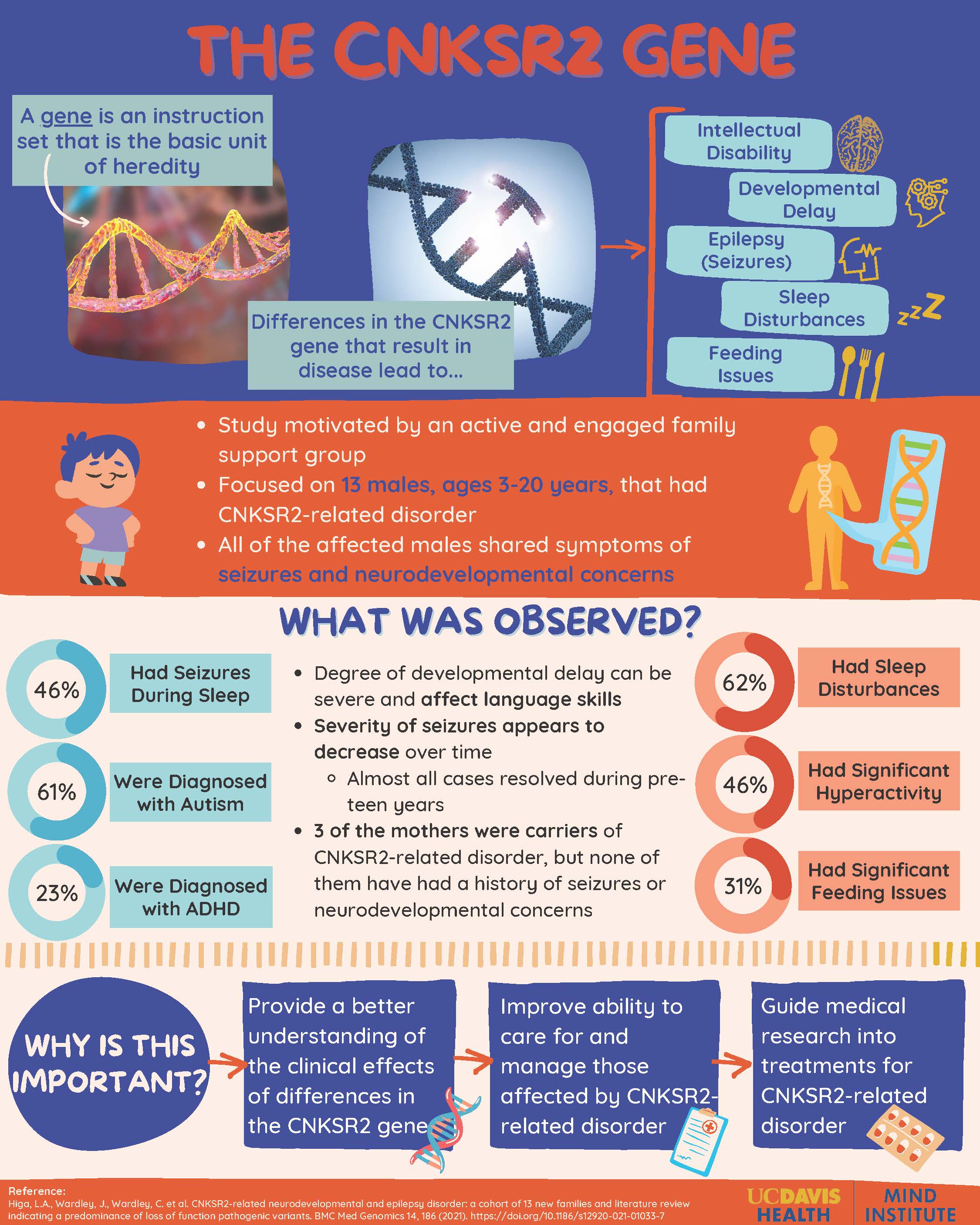 CNKSR2 Gene Infographic: Click to download screen-readable PDF.