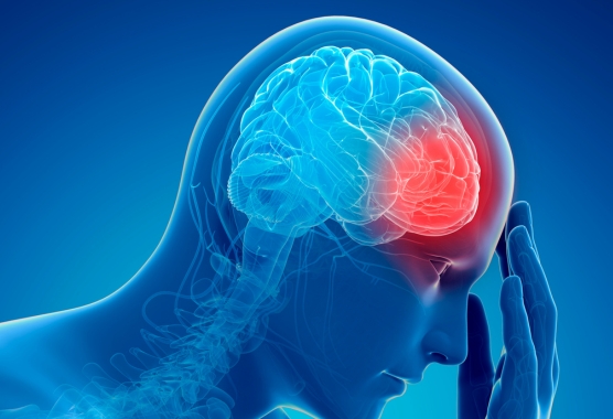 Traumatic brain injury model