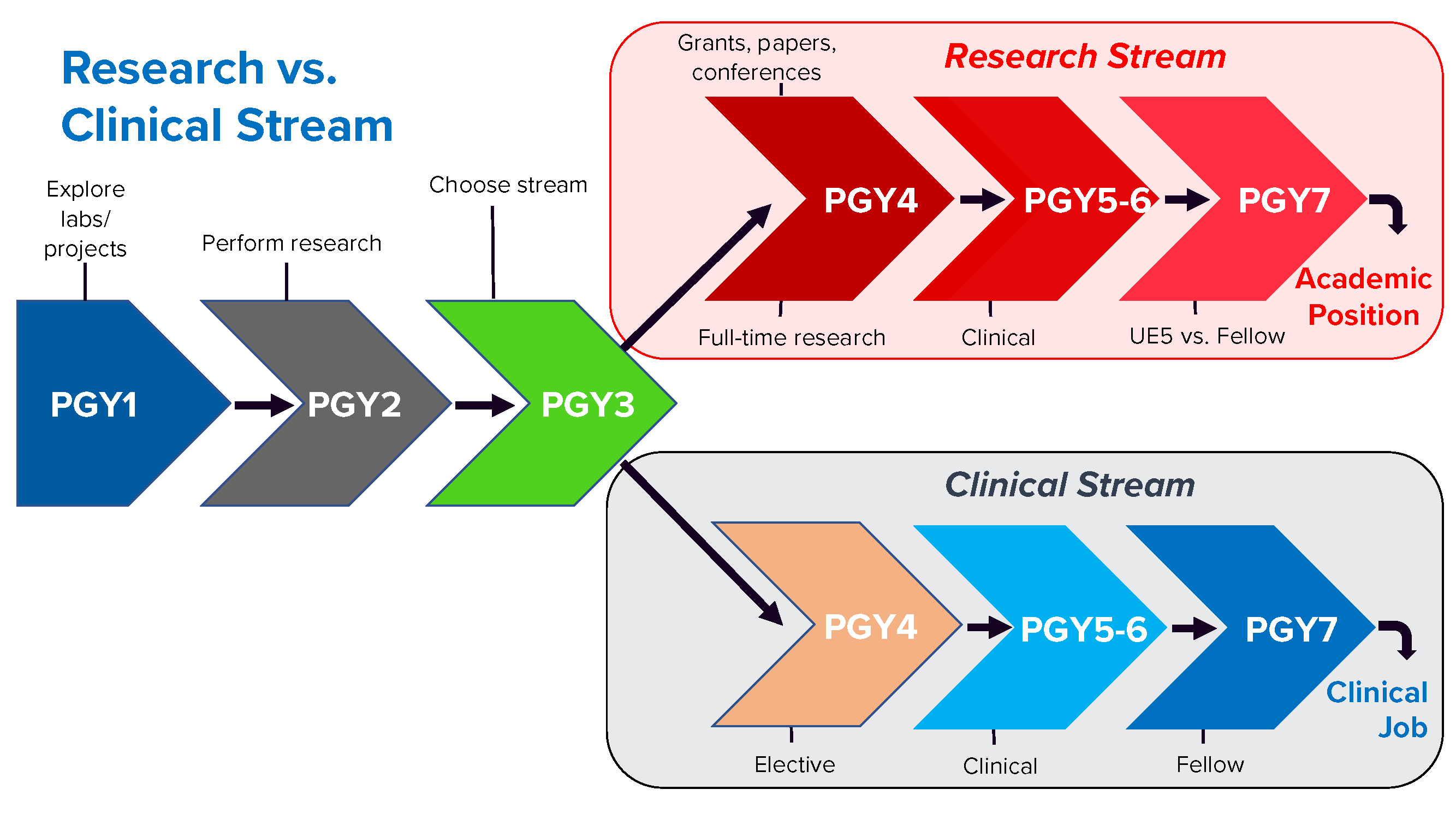 Research Versus Clinical Stream Program Overview