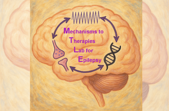 Mechanisms to Therapies Lab for Epilepsy diagram on top of a human brain 