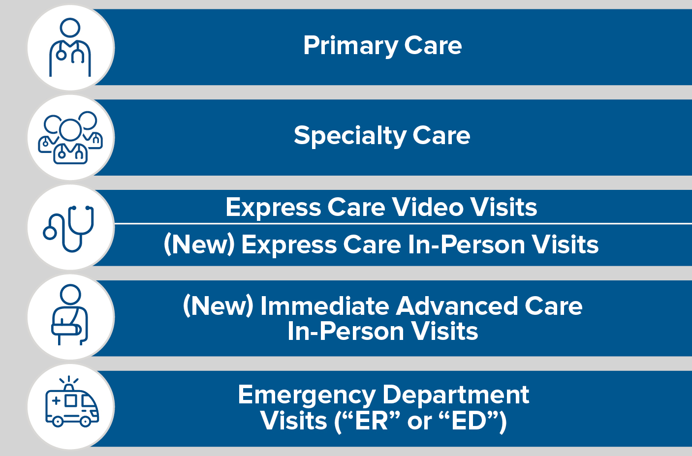 Healthcare options: Primary Care, Specialty Care, Express Care Video and In-Person Visits, Immediate Advanced Care In-Person Visits, and ER/ED Visits.