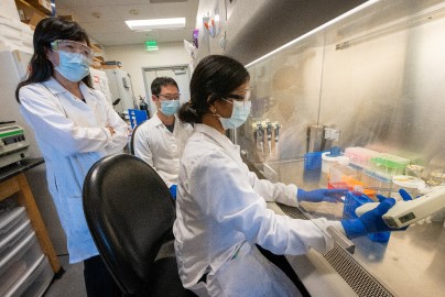 Cardiology research in lab with glass chamber and 3 researchers working on project