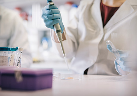 researchers
