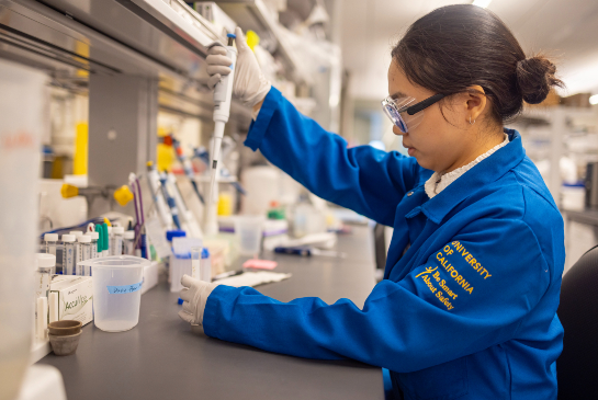 Student performs laboratory analysis as part of biomedical research