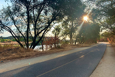 A trail with trees and a river in the background