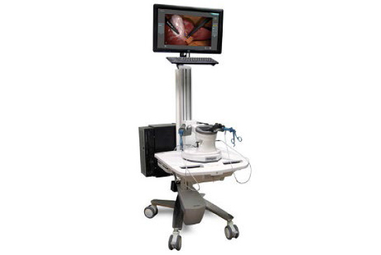 3DSYSTEMS LapMentor