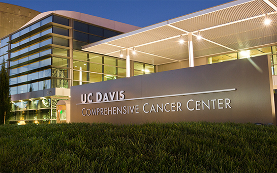 First-ever Cancer Leadership Academy launched