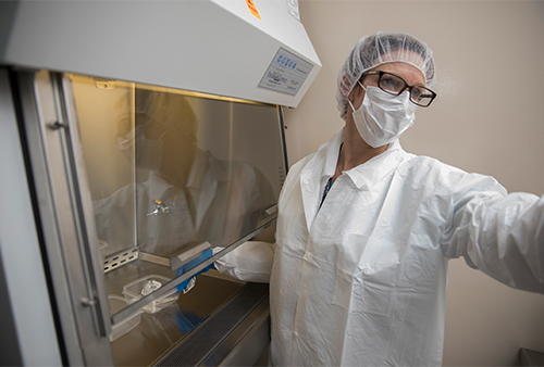 Pancreatic cancer researcher Julie Sutcliffe  is co-director for the UC Davis Center of Molecular and Genomic Imaging.
