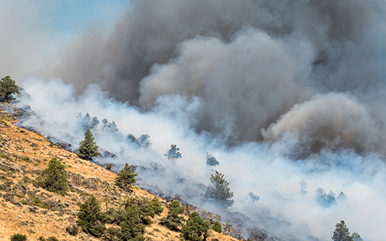 Wildfire pollution may lower survival chances for lung cancer patients