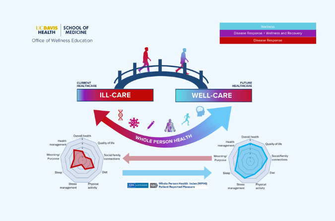 Graphic of bridge going from ill-care to well-care. 
